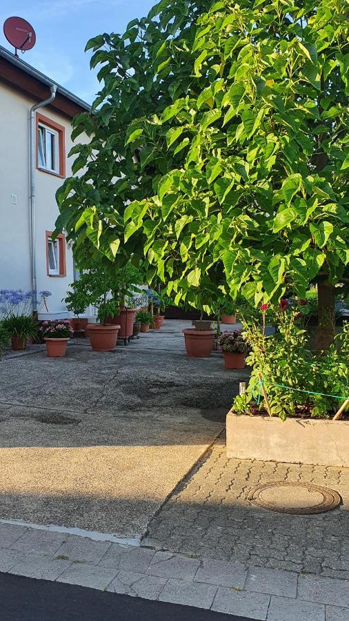 Ferienwohnung "Zum Alten Kuhstall" Oberhausen  エクステリア 写真