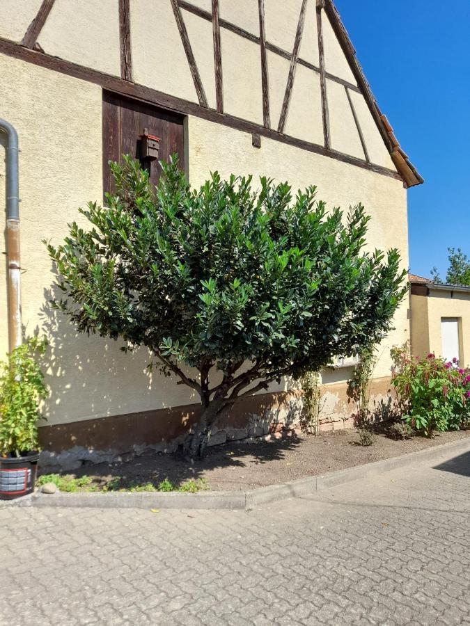 Ferienwohnung "Zum Alten Kuhstall" Oberhausen  エクステリア 写真